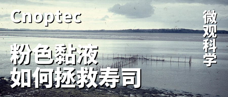 微观世界：粉红黏液如何拯救寿司
